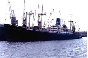 Pando Gulf