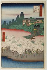 edo016