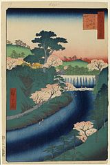 edo019