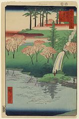 edo023