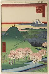 edo024