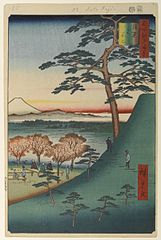 edo025