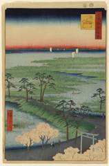 edo029