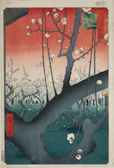 edo030