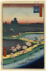 edo031