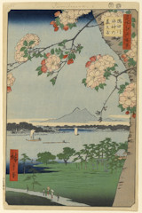 edo035