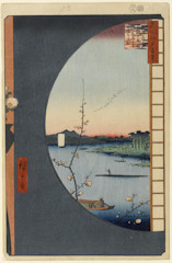 edo036