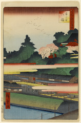 edo041