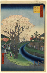 edo042