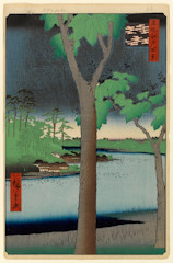 edo048