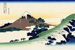 Fuji08