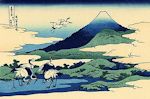 Fuji31