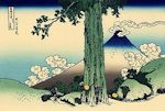 Fuji33